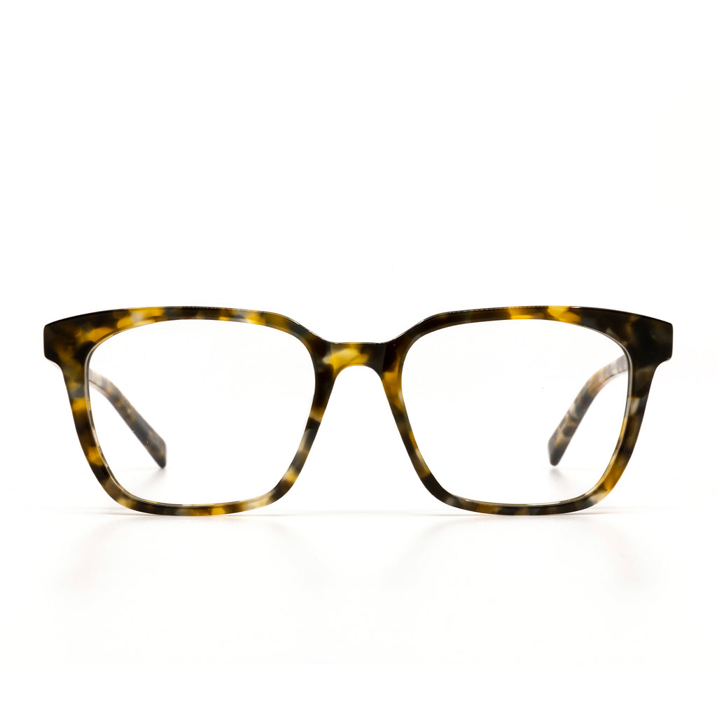 FINN SEA TORTOISE + BLUE LIGHT TECHNOLOGY GLASSES DIFF Eyewear