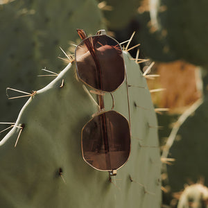 Jojo Fletcher Joelle Sunglasses | Gold + Horn Tort & Brown  display picture 2