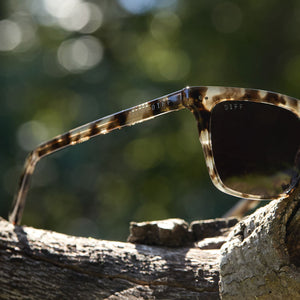 Billie Square Sunglasses | Espresso Tortoise & Grey Polarized