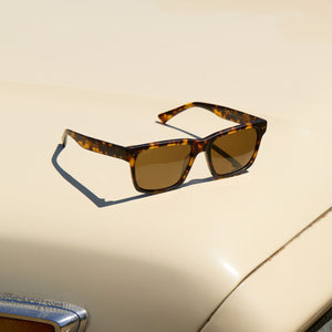 ティー Gino XL Square Sunglasses | Matte Rich Tortoise & Brown | DIFF Eyewear