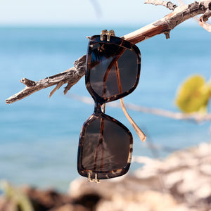 Diff Eyewear Tortoiseshell and Gold Polarized Sunglasses Dasha Square Sunglasses | Espresso Tortoise + Gold & Brown  main image 2