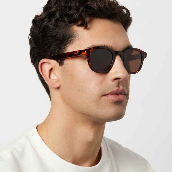 arlo xl - rich tortoise + brown + polarized sunglasses 5