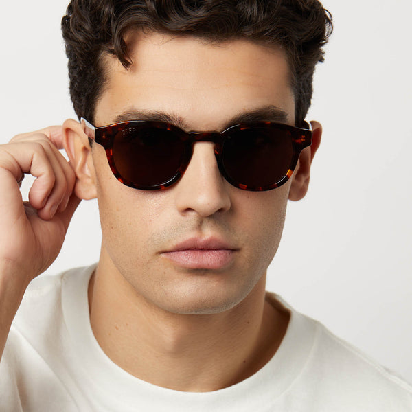 arlo - rich tortoise + brown + polarized sunglasses 6