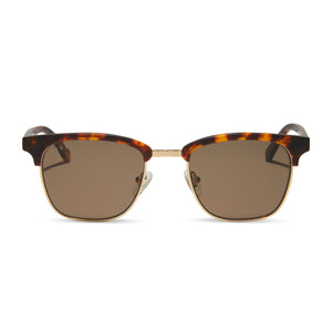 diff eyewear biarritz square sunglasses with a rich tortoise/gold frame and brown polarized lenses front view