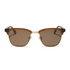 Color swatch for biarritz - rich tortoise + brown + polarized sunglasses