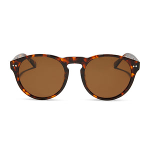 diff eyewear featuring the cody xl round sunglasses with a rich tortoise frame and brown polarized lenses front view