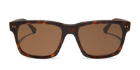 swatch for GINO XL - MATTE RICH TORTOISE + BROWN + POLARIZED SUNGLASSES