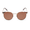 Color swatch for logan - gold + brown sunglasses
