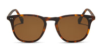 swatch for MAXWELL - MATTE RICH TORTOISE + BROWN + POLARIZED SUNGLASSES