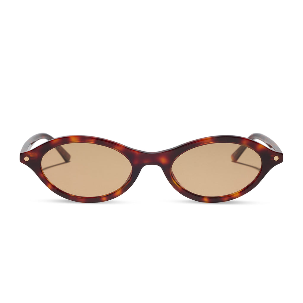 THE CITY - TORTOISE + BROWN TINT + SUNGLASSES