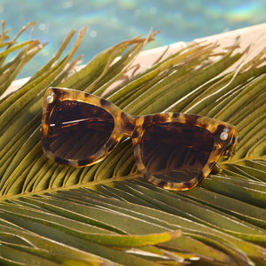 flat lay shot of sunglasses on top of palm tree pool side. resort fashion