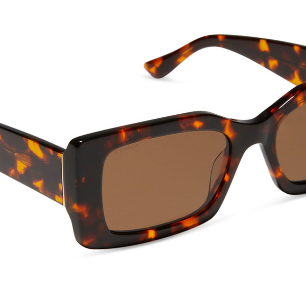 alessandra - rich tortoise + brown + polarized sunglasses 4