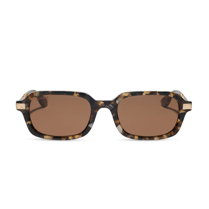 iconica featuring the cosette navigator sunglasses with a tortoise frame and brown polarized lenses front view