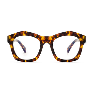 HAYDEN - AMBER TORTOISE + CLEAR FRONT
