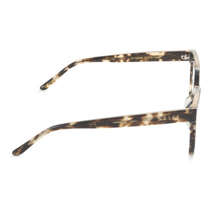 WINSTON - ESPRESSO TORTOISE + CLEAR Side