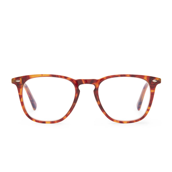 swatch for GRIFFIN - AMBER TORTOISE + BLUE LIGHT READERS
