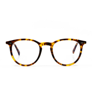 HAZE - AMBER TORTOISE + CLEAR GLASSES