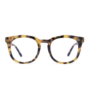 WESTON - HAZEL TORTOISE + CLEAR GLASSES