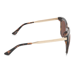 HAILEY - DARK TORTOISE + BROWN GRADIENT SUNGLASSES